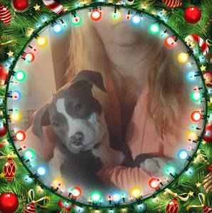 Meet your Posher, Marcia